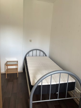 WhatsApp Image 2026-02-04 at 11.47.52.jpeg